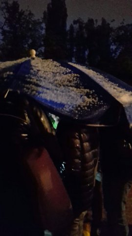 Salatgartenturnier 2017